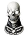 Skull Mask - costumesupercenter.com