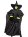 Women's Plus Size The Wizard of Oz Wicked Witch Costume - costumesupercenter.com