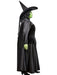 Women's Plus Size The Wizard of Oz Wicked Witch Costume - costumesupercenter.com