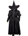 Women's Plus Size The Wizard of Oz Wicked Witch Costume - costumesupercenter.com