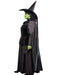 Women's Plus Size The Wizard of Oz Wicked Witch Costume - costumesupercenter.com