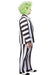 Men's Big and Tall Beetlejuice Classic Costume - costumesupercenter.com