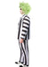 Men's Big and Tall Beetlejuice Classic Costume - costumesupercenter.com