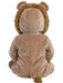 Lion Cub Costume for Babies and Toddlers - costumesupercenter.com