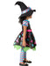 Monster Madness Witch Costume for Babies and Toddlers - costumesupercenter.com