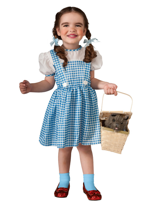 Wizard of Oz Dorothy Costume for Infants - costumesupercenter.com