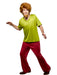 Adult Scooby-Doo Shaggy Costume - costumesupercenter.com