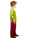 Adult Scooby-Doo Shaggy Costume - costumesupercenter.com