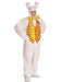 Standard Easter Bunny Suit Costume - costumesupercenter.com