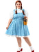 Dorothy Adult Plus Costume - costumesupercenter.com