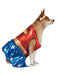 DC Comics Wonder Woman Pet Costume - Classic - costumesupercenter.com