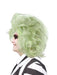 Men's Beetlejuice 2 Wig - costumesupercenter.com