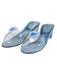 Girls' Blue Princess Glass Slipper Shoes - costumesupercenter.com