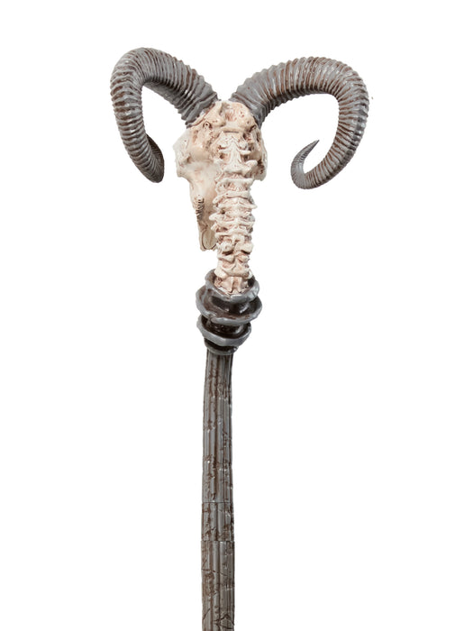 Adult Masters of the Universe Movie 2026 Skeletor Havoc Staff (PRE-ORDER) - costumesupercenter.com