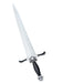 Women's Fourth Wing: The Empyrean Series Violet Sorrengail Dagger Sword - costumesupercenter.com