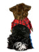 Wicked Werewolf Walking Pet Costume - costumesupercenter.com