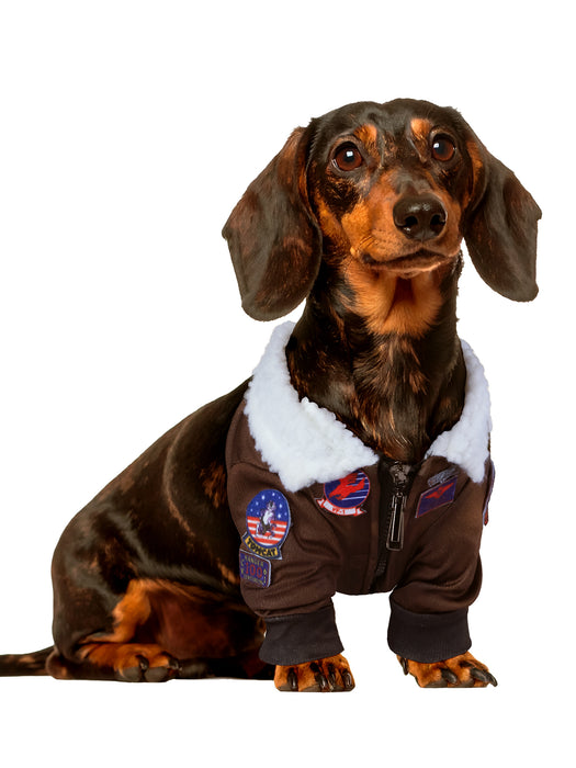 Top Gun Pet Jacket - costumesupercenter.com