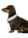 Top Gun Pet Jacket - costumesupercenter.com