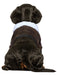 Top Gun Pet Jacket - costumesupercenter.com
