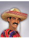 Black Moustache Adult - costumesupercenter.com