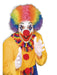 Rainbow Economy Clown Wig - costumesupercenter.com