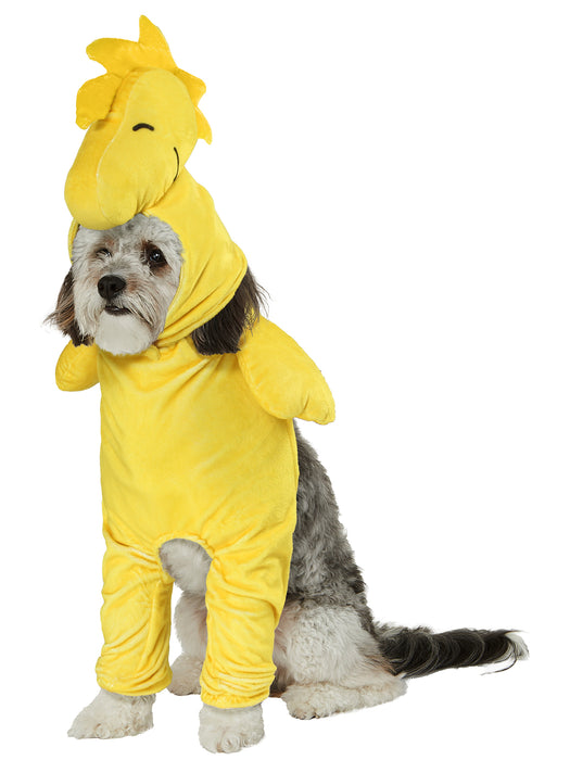 Peanuts Woodstock Walking Pet Costume - costumesupercenter.com