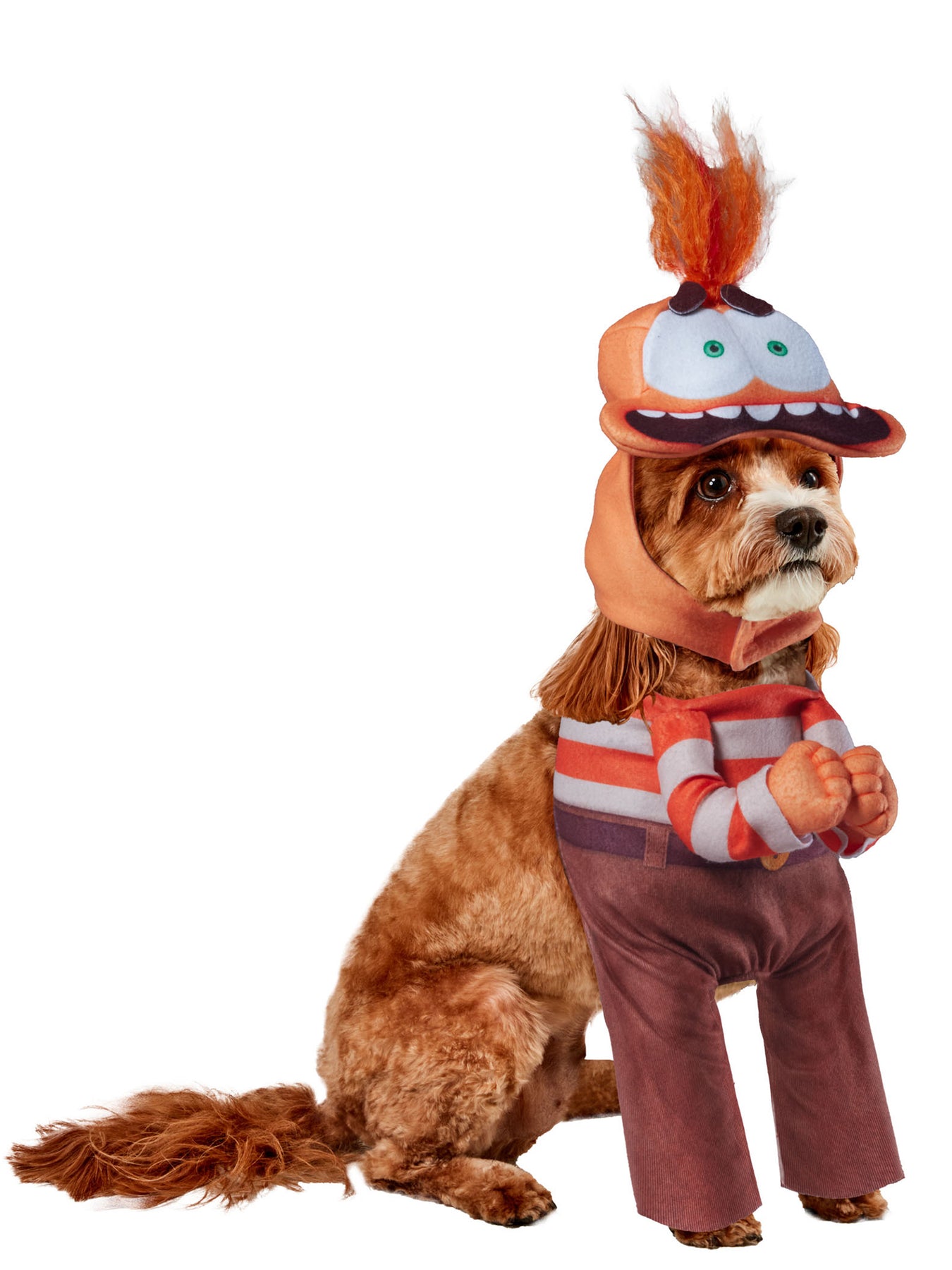 Inside Out 2 Pet Costumes