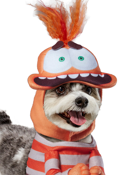 Inside Out 2 Anxiety Pet Costume - costumesupercenter.com