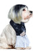 Bride Of Chucky Tiffany Valentine Walking Pet Costume - costumesupercenter.com