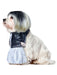 Bride Of Chucky Tiffany Valentine Walking Pet Costume - costumesupercenter.com