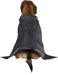 Vampire Pet Costume - costumesupercenter.com