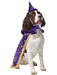 Wizard Pet Costume - costumesupercenter.com