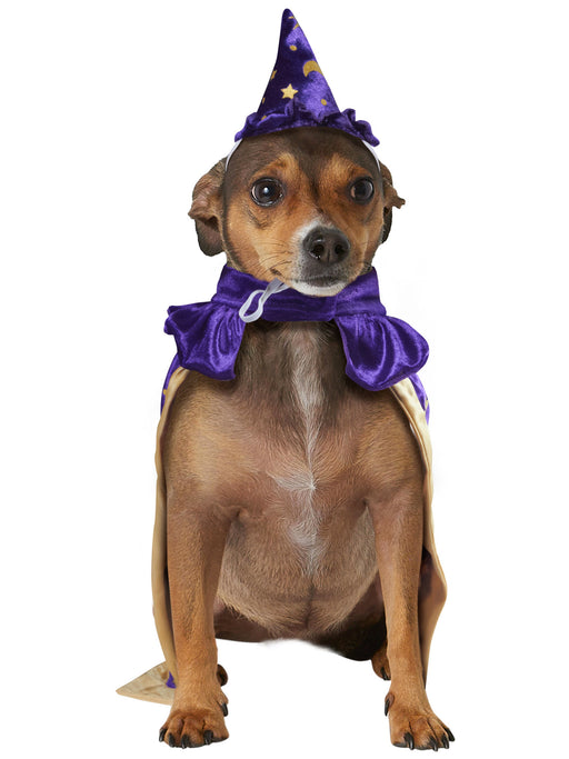 Wizard Pet Costume - costumesupercenter.com