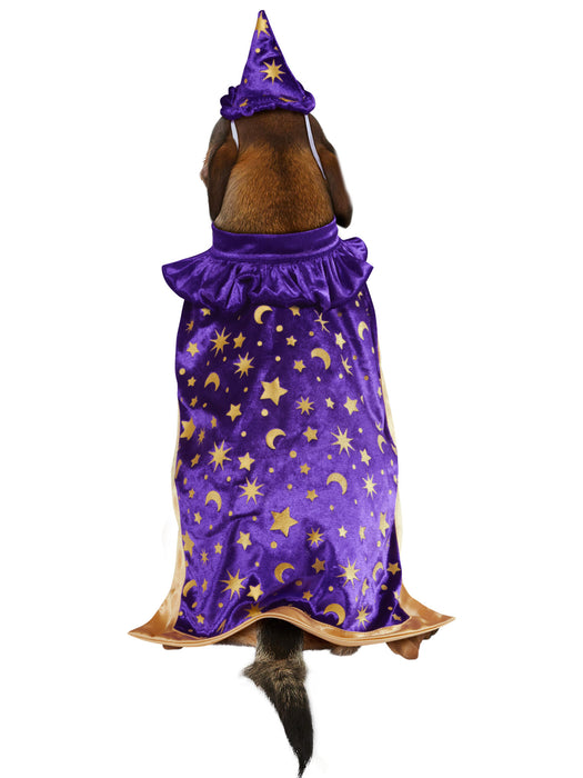 Wizard Pet Costume - costumesupercenter.com