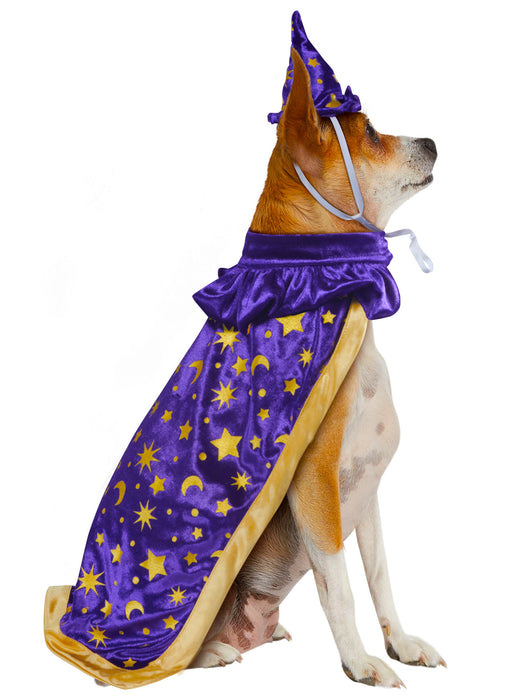 Wizard Pet Costume - costumesupercenter.com