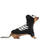 Skeleton Pet Costume - costumesupercenter.com