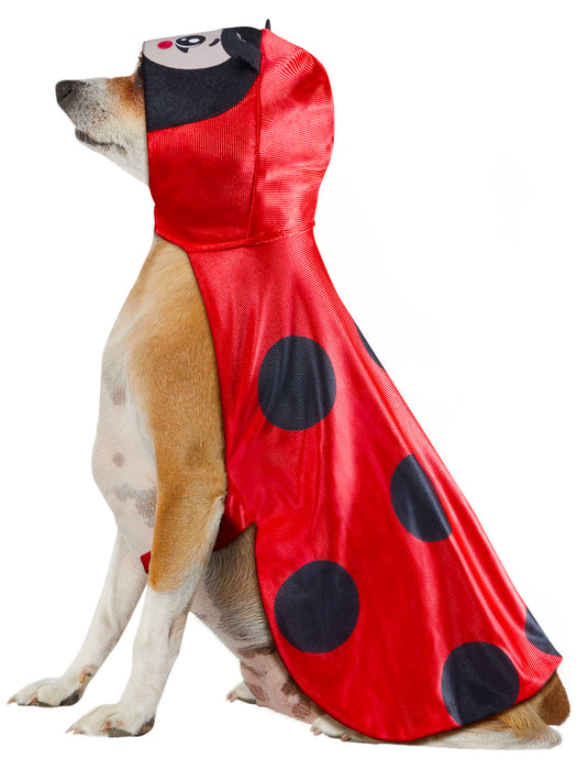 Ladybug Pet Costume - costumesupercenter.com