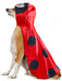 Ladybug Pet Costume - costumesupercenter.com