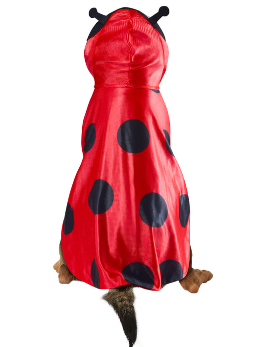 Ladybug Pet Costume - costumesupercenter.com
