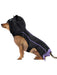 Bat Pet Cape - costumesupercenter.com