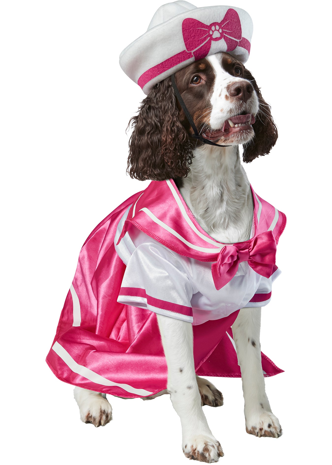 Pet Military