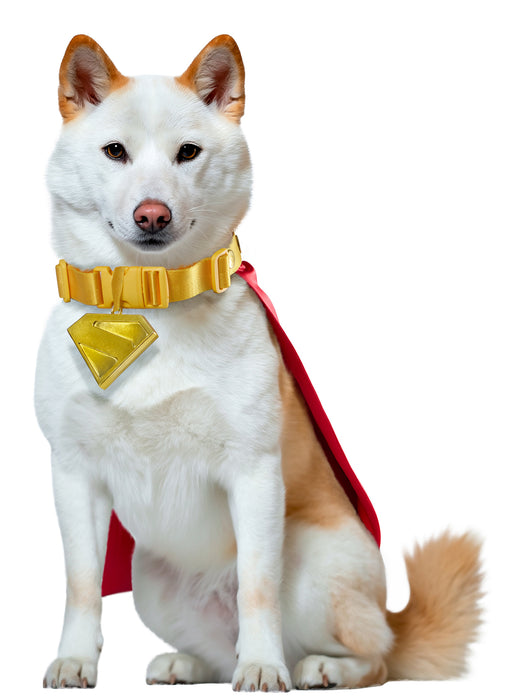 Supergirl Movie 2026 Krypto Pet Collar and Cape- Deluxe (PRE-ORDER) - costumesupercenter.com
