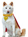 Supergirl Movie 2026 Krypto Pet Collar and Cape- Deluxe (PRE-ORDER) - costumesupercenter.com