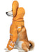 Shrek Gingy The Gingerbread Man Walking Pet Costume - costumesupercenter.com