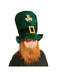 St. Patrick's Day Leprechaun Hat w/ Beard - costumesupercenter.com