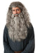 Men's Gandalf Beard Kit - costumesupercenter.com