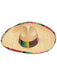 Sombrero Adult - costumesupercenter.com