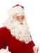Men's White Santa Beard and Wig Set - Premium - costumesupercenter.com