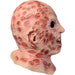 Adult A Nightmare on Elm Street Freddy Krueger Overhead Latex Mask - Deluxe - costumesupercenter.com