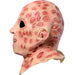 Adult A Nightmare on Elm Street Freddy Krueger Overhead Latex Mask - Deluxe - costumesupercenter.com